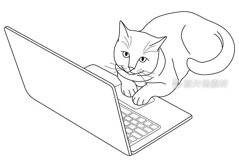 猫用的笔记本电脑