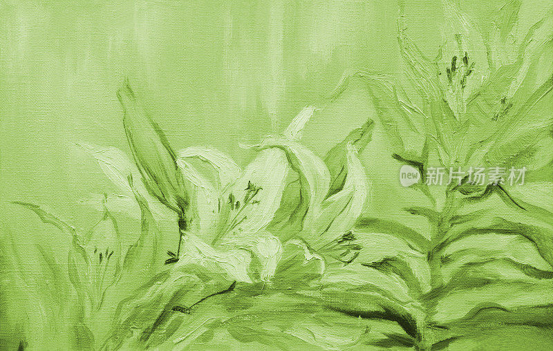 插图油画风景画百合花盛开在绿色
