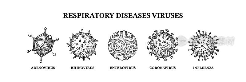 呼吸道疾病病毒。手绘的微生物图。素描风格的科学矢量插图
