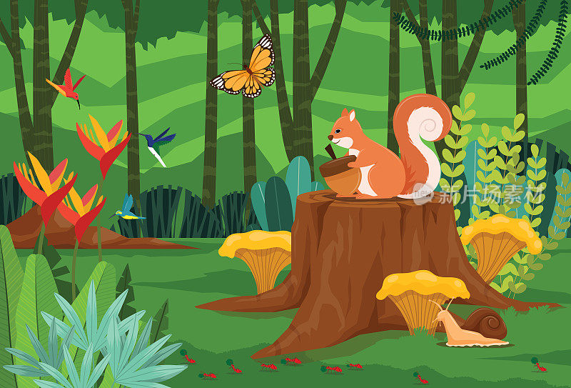 红松鼠坐在丛林的树桩上吃橡子。