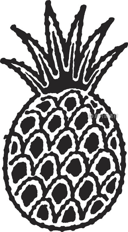 插图的菠萝