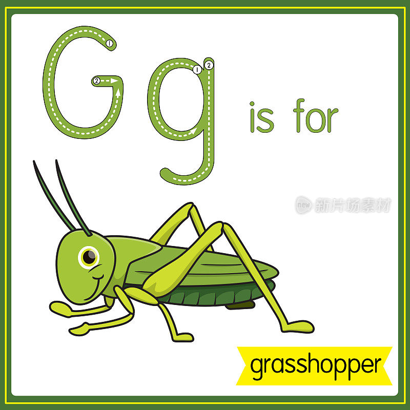 矢量插图学习字母为儿童与卡通形象。字母G代表蚱蜢。