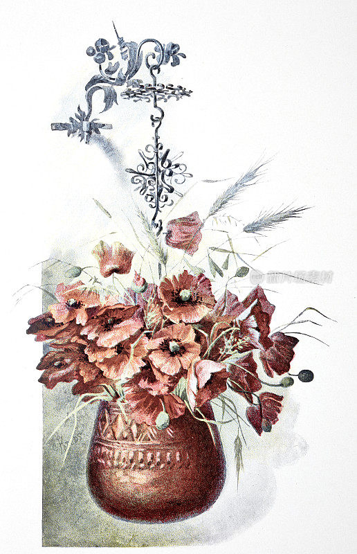花的装饰，铜锅里的罂粟花