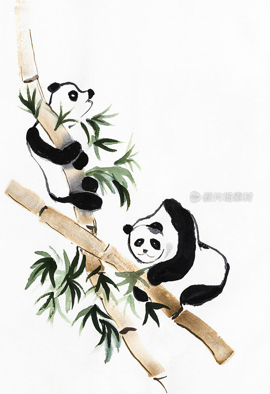 熊猫爬竹