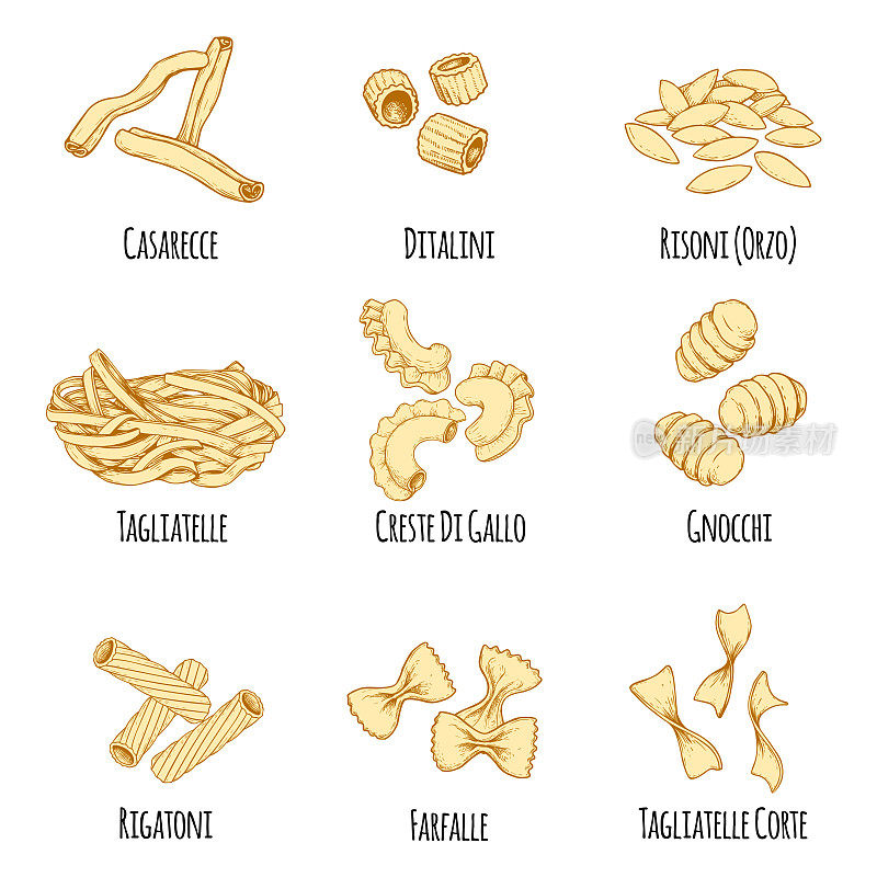 手绘意大利面食套装。不同类型的意大利美食在素描风格与标志。意大利面，意大利面，意大利烩饭，意大利面，意大利面，意大利面，意大利饺子，意大利面，意大利面