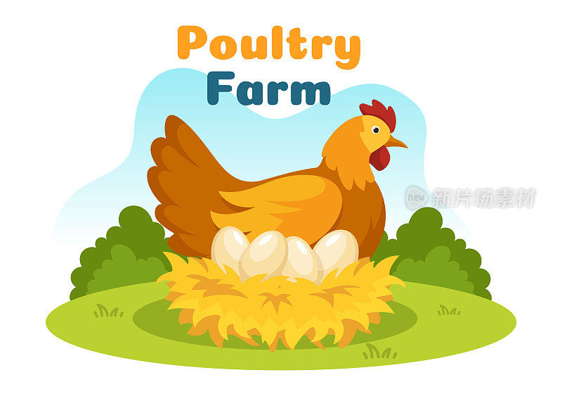 家禽养殖与农民，笼子，鸡和鸡蛋农场在绿色田野背景视图手绘可爱的卡通模板插图