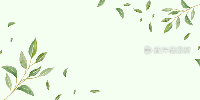草药极简主义和现代矢量横幅与文本的自由空间。手绘植物，树枝，树叶在白色背景上。草木婚礼简单横模板。