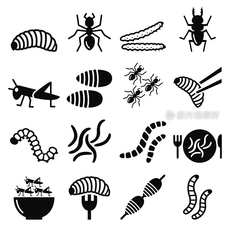 可食用的蠕虫和昆虫图标-蛋白质的替代来源