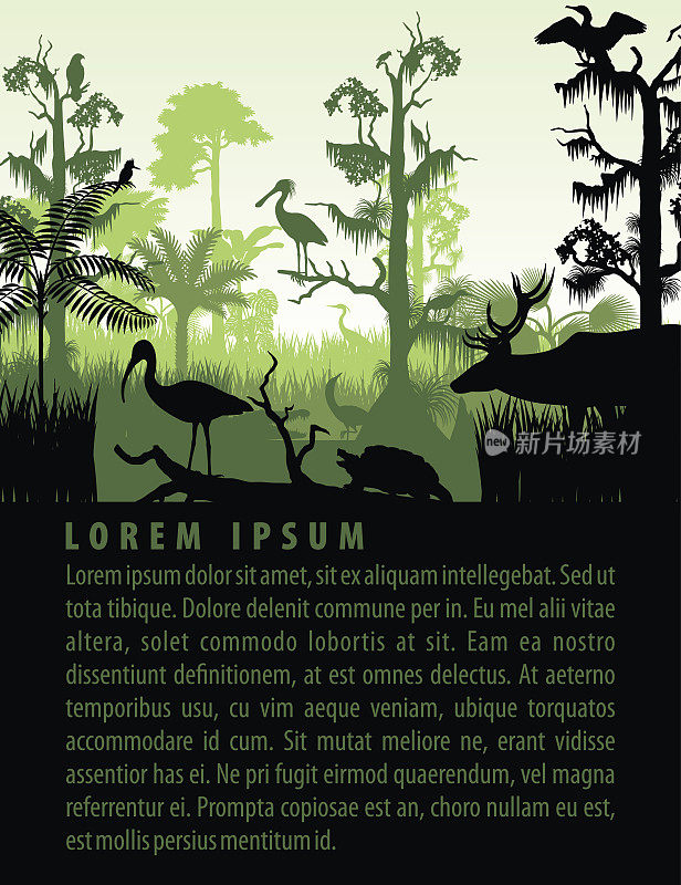 矢量雨林湿地剪影在日落设计模板鹭，鹿，短吻鳄，朱鹭。海龟，翠鸟和鸬鹚