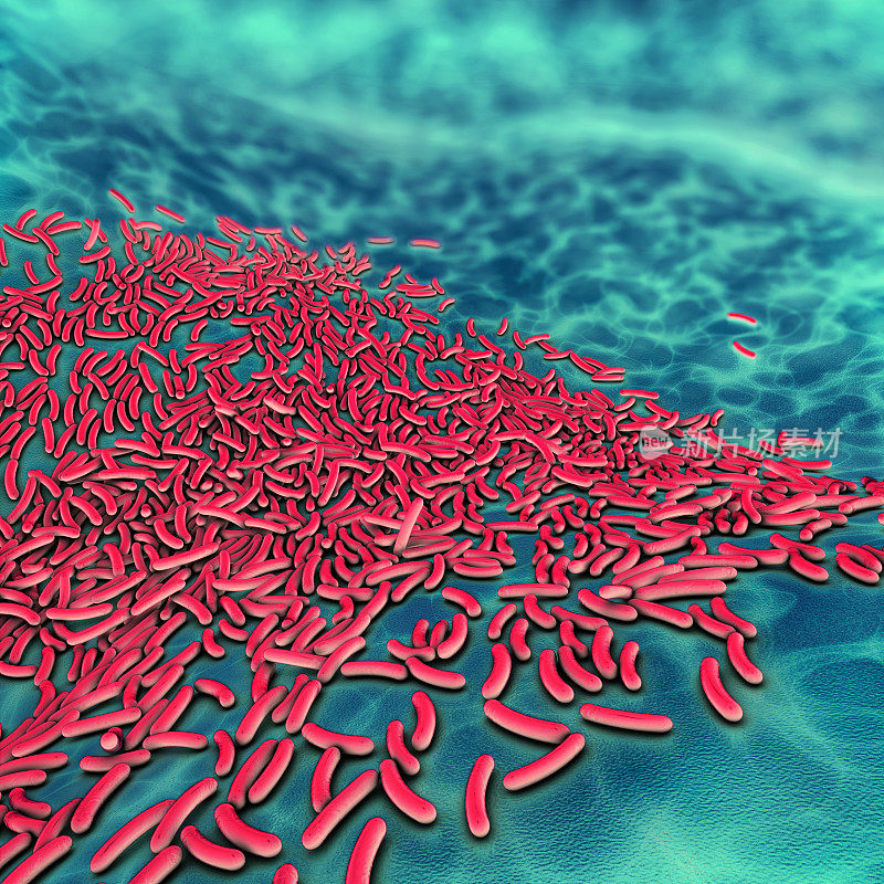 抗生素消灭细菌的3d插图