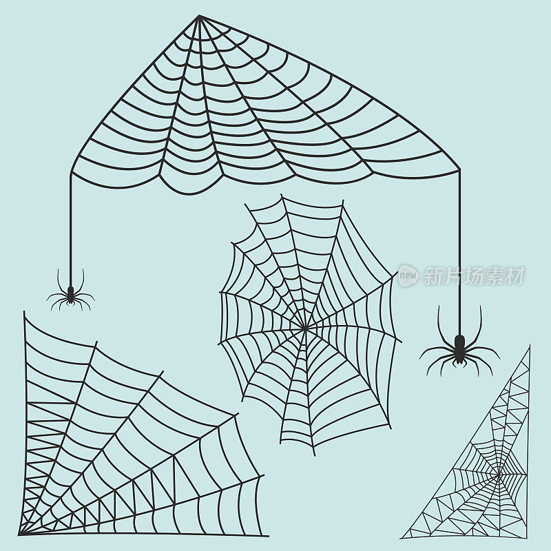蜘蛛网剪影蜘蛛恐惧图形扁平可怕的动物设计自然昆虫危险恐怖矢量图标