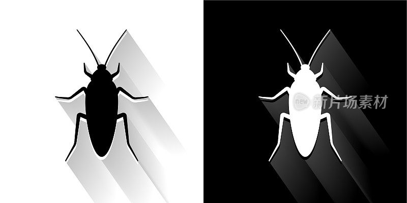 蟑螂黑色和白色与长影子的图标
