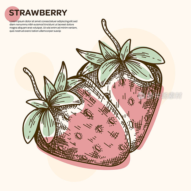 草莓手绘彩色插图