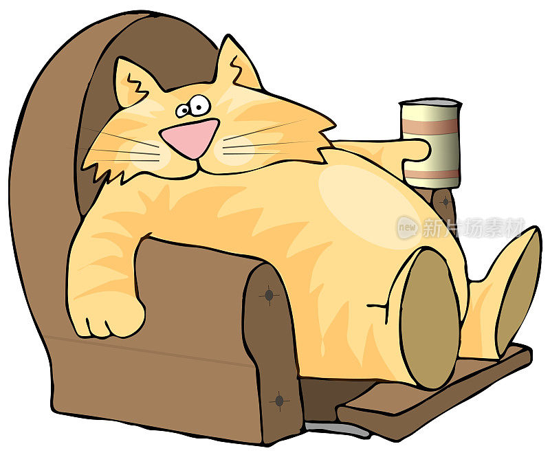 一只又肥又懒的猫坐着喝着苏打水
