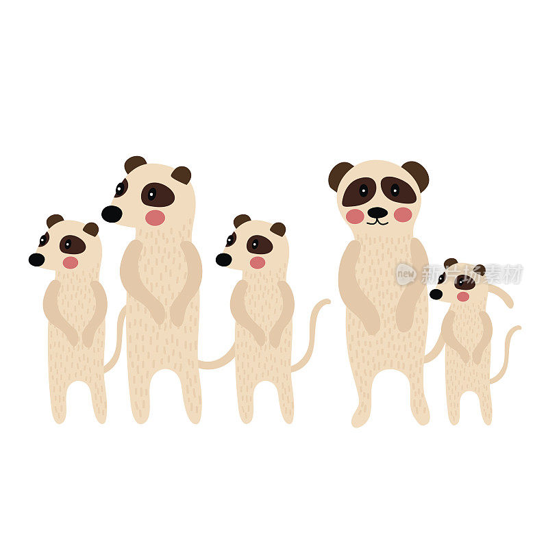 站立猫鼬家庭群动物卡通人物矢量插图。