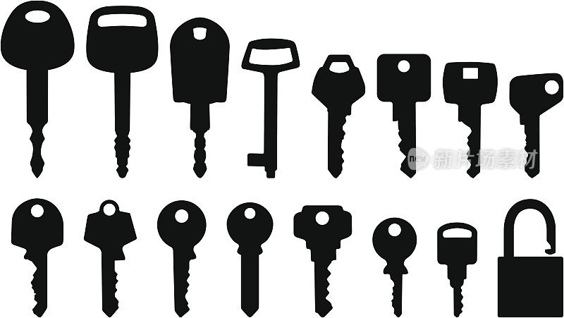 十六种不同形状的钥匙和一把锁