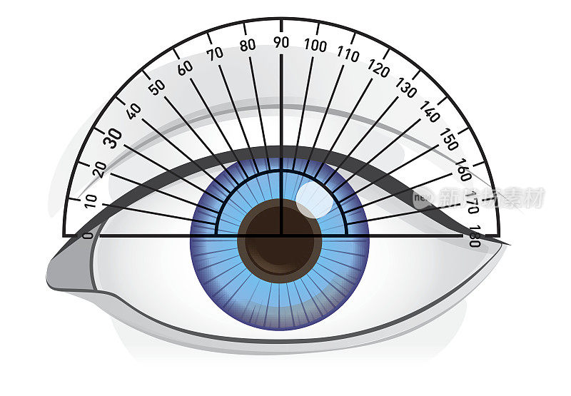 用量角器检查蓝色眼睛的角度。