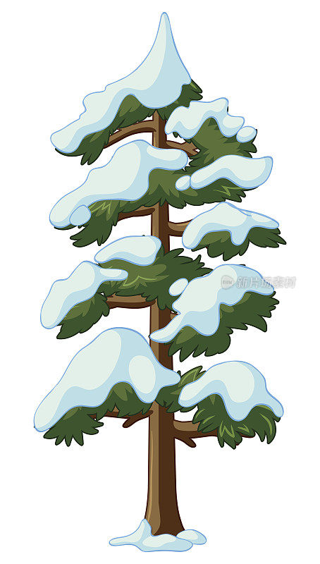 松树上覆盖着雪