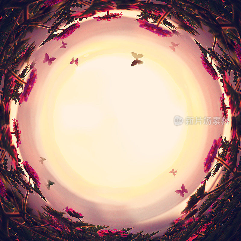 抽象的漩涡背景魔幻童话的花和蝴蝶在夕阳下