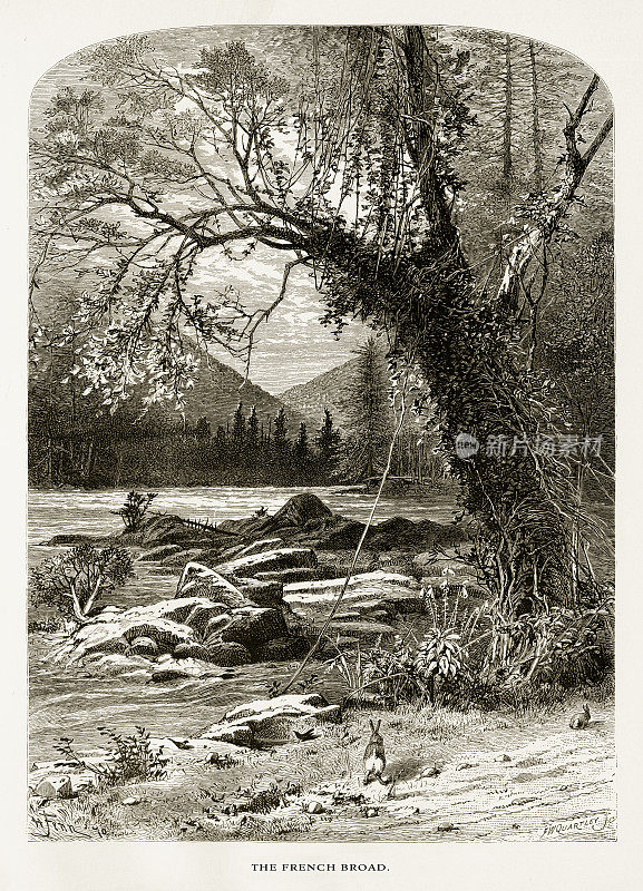美国北卡罗莱纳的法国宽河，美国维多利亚版画，1872年
