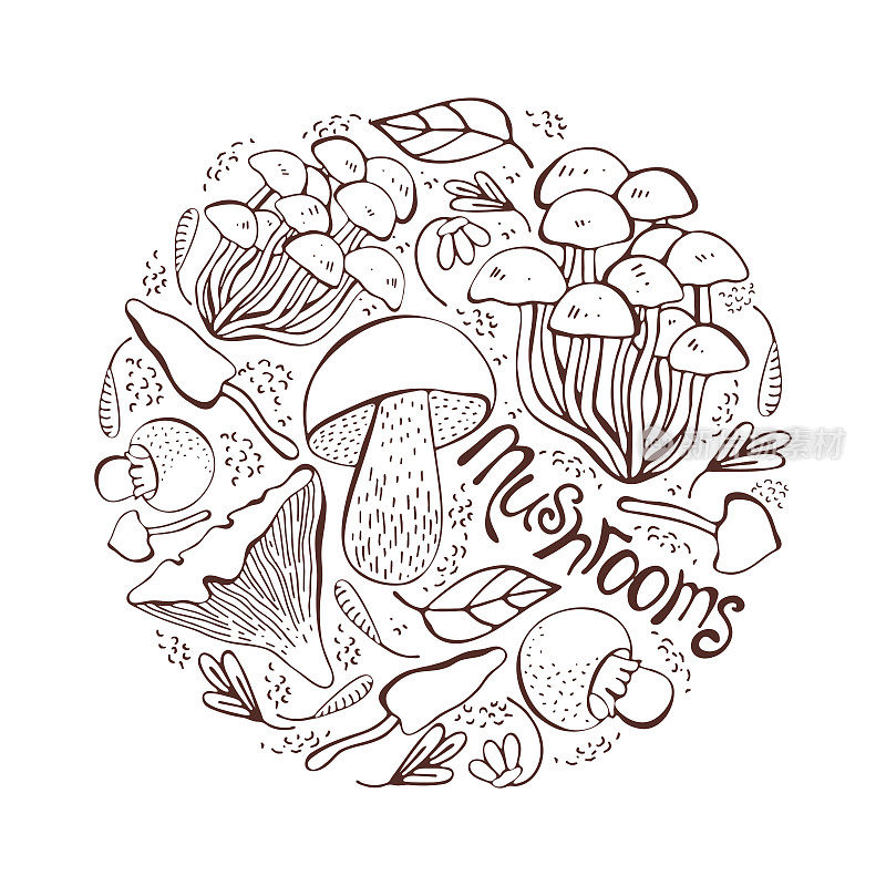 蘑菇手绘矢量图。设置孤立的素描食物画成一个圆圈。蘑菇，羊肚菌，松露，牛肝菌，牡蛎，蜂蜜琼脂，鸡油菌，有机素食产品。健康食品。