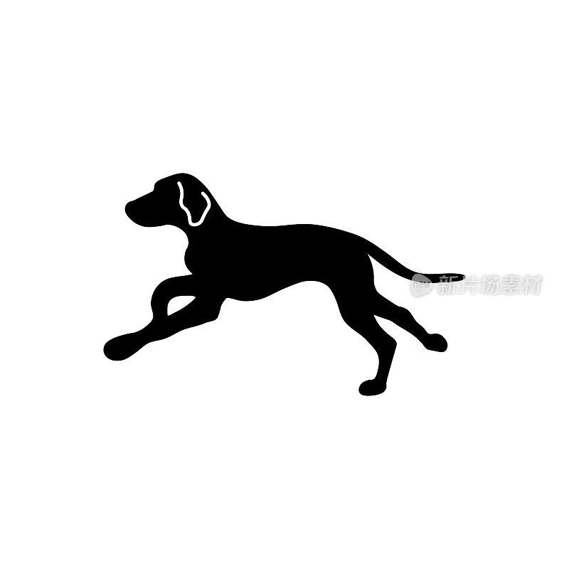 猎狗的标志。匈牙利维兹拉犬的象征