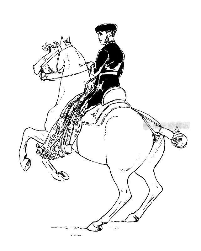 马、骑士和骑兵的古董插图:西班牙