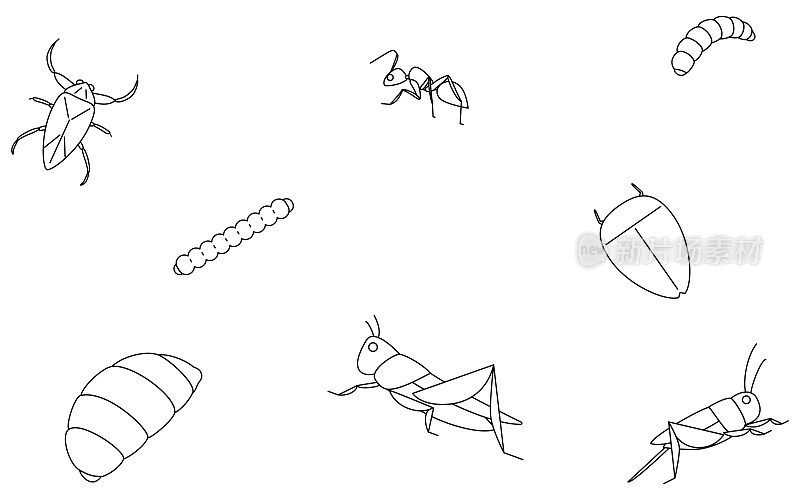 食用昆虫，壁纸背景插图
