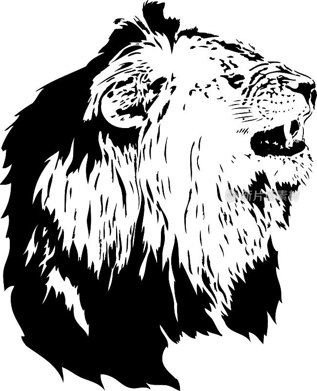 黑线狮子画像-黑豹狮子