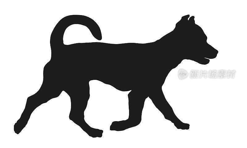 奔跑的杰克罗素梗小狗。黑狗轮廓。宠物的动物。孤立在白色背景上。