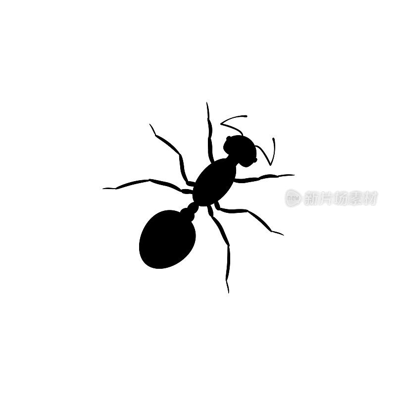 黑色蚂蚁工人的剪影。有六条腿和有力颚的昆虫