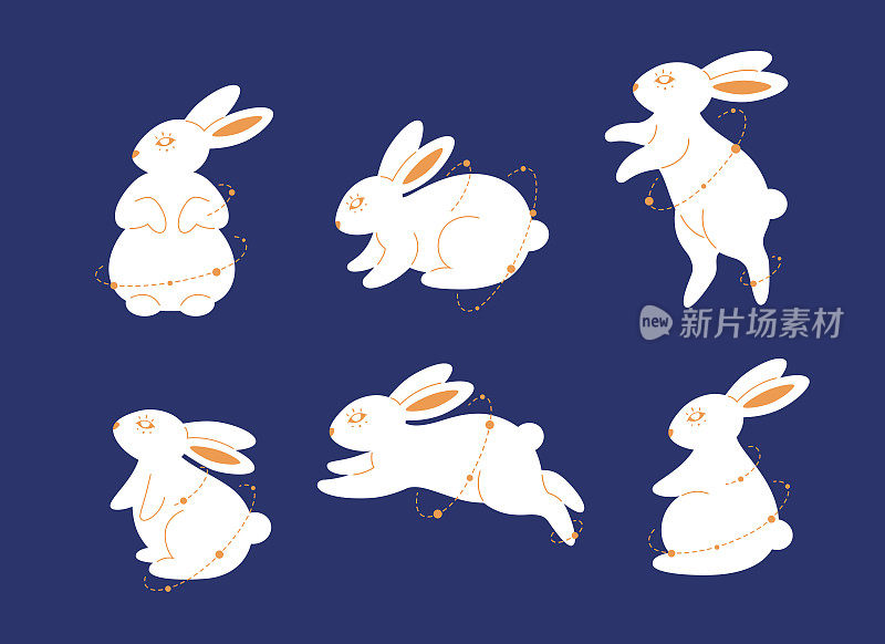 可爱的小白兔摆出不同的姿势。魔术师的兔子。兔年。中秋节。手绘矢量插图