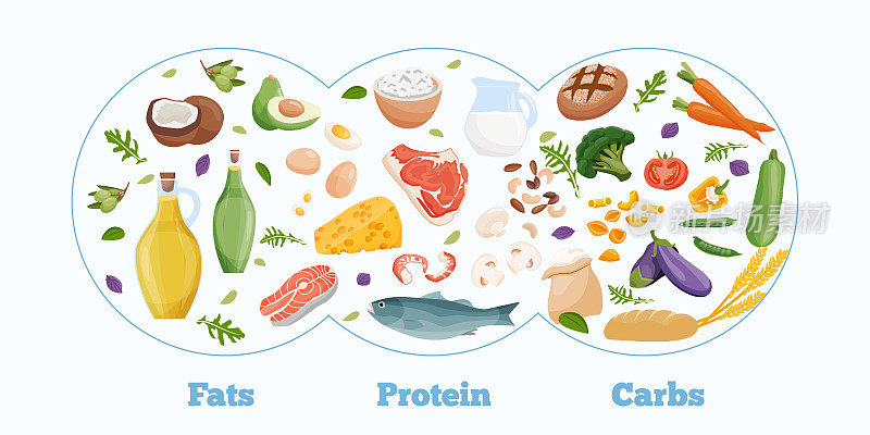 一系列健康的大量营养素。食品中含有的蛋白质、脂肪和碳水化合物。营养类别矢量图。均衡的营养。健康食品。