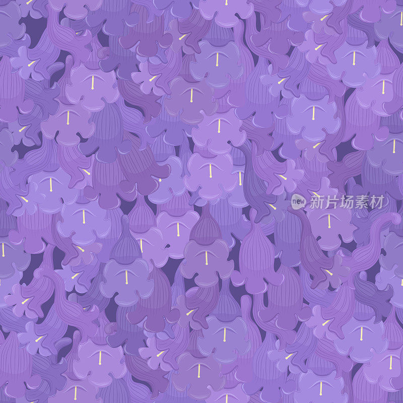 蓝花楹，紫花无缝图案背景