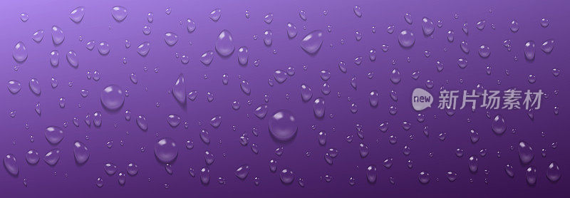 紫色背景上凝结的水滴