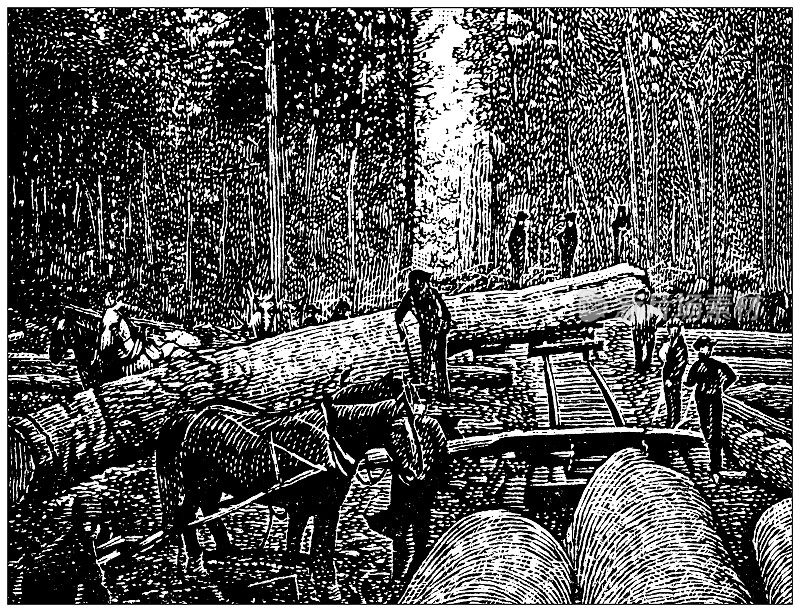 美国，密歇根州地标和公司的古董插图:木材工业