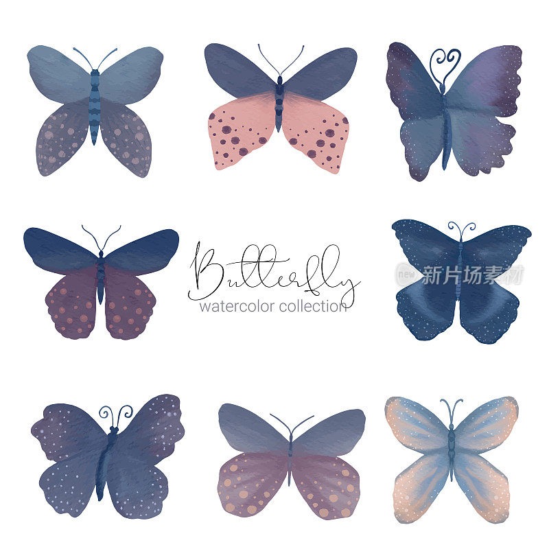 五颜六色的奇异蝴蝶野生昆虫在水彩风格。向量的卡通插图