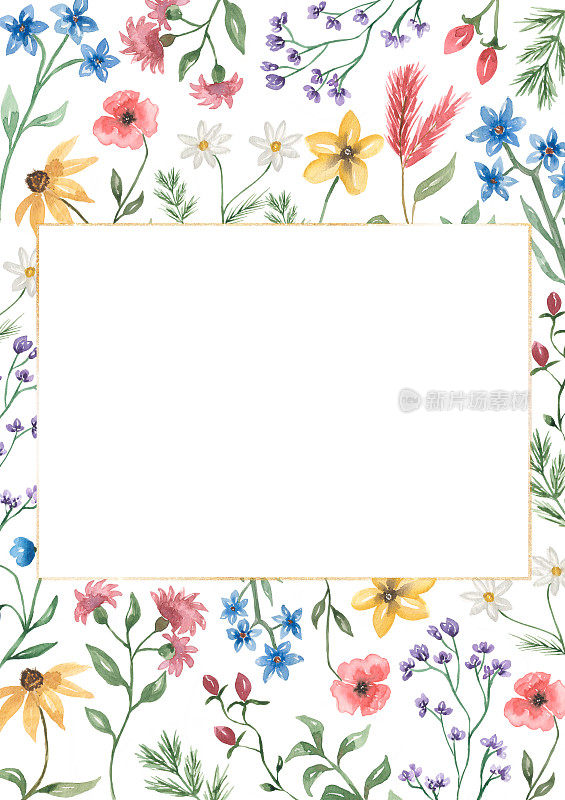 手绘水彩野花花环插图。野花花框婚礼，生日邀请。花的气味。