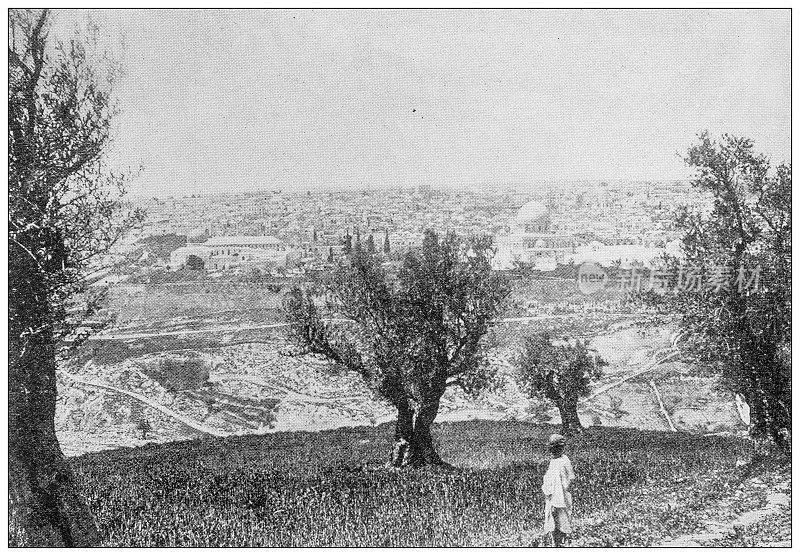 来自英国杂志的古董图片:橄榄树的耶路撒冷