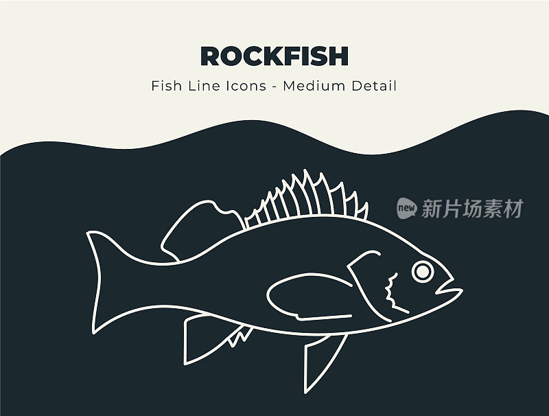 岩石鱼或岩石鱼-海洋和河鱼线图标集。潜入与鱼和海鲜库存矢量的创意图标的海洋，包括鱼鳞，鳍和水生海洋生物的插图