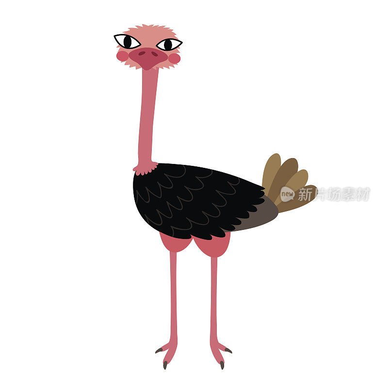站立鸵鸟动物卡通人物矢量插图。