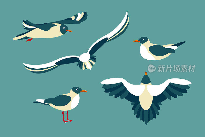 海鸥。一组海鸟在风格的平。矢量插图。