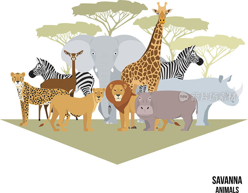 非洲草原动物有大象，犀牛，长颈鹿，斑马，狮子，河马
