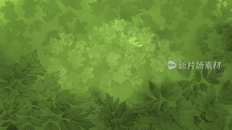 绿色树叶在小插画水彩背景-复制空间
