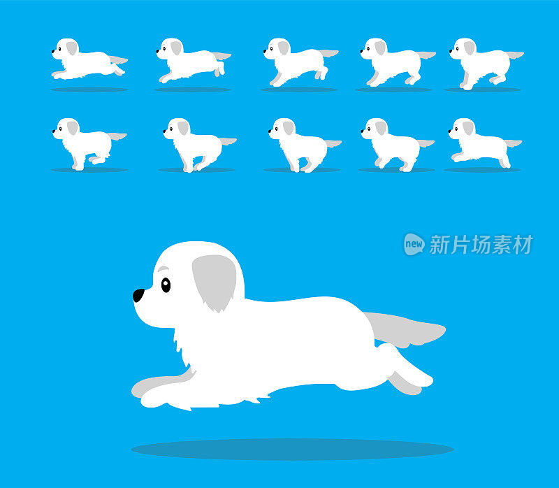 动物动画序列狗大比利牛斯卡通向量