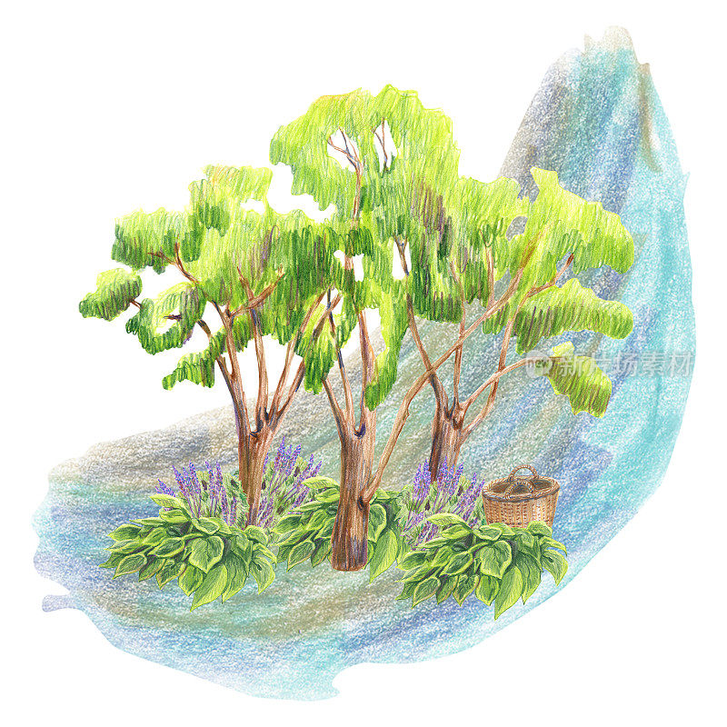 用彩色铅笔的手法在抽象的点背景上布置森林的树叶和大量的树木。手绘。