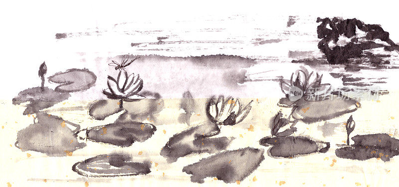 湖上盛开的荷花，中国风格的水墨在宣纸上画