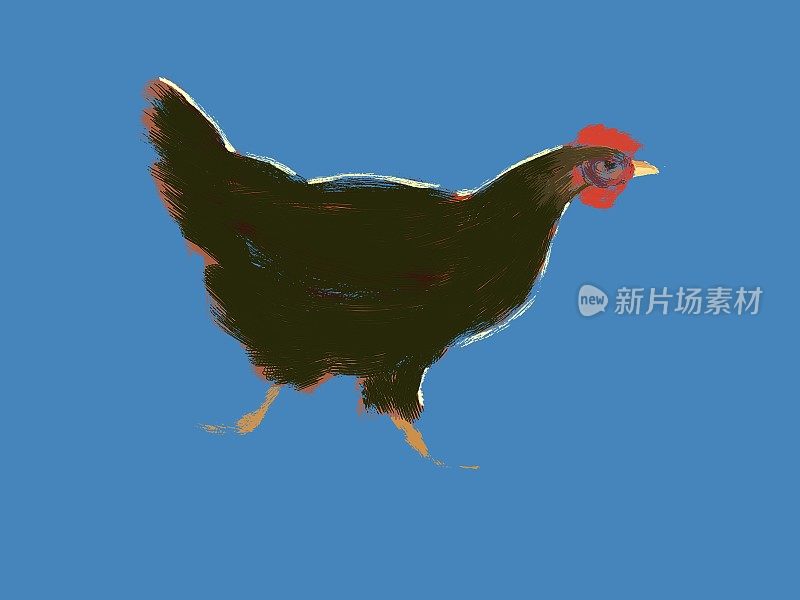 这是一只黑色小鸡的生动插图
