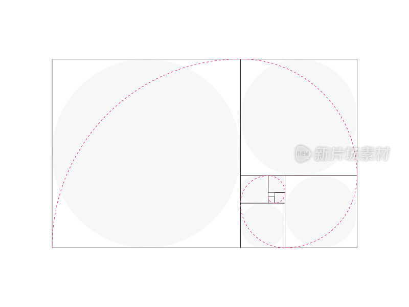 黄金比例斐波那契数列可编辑笔画