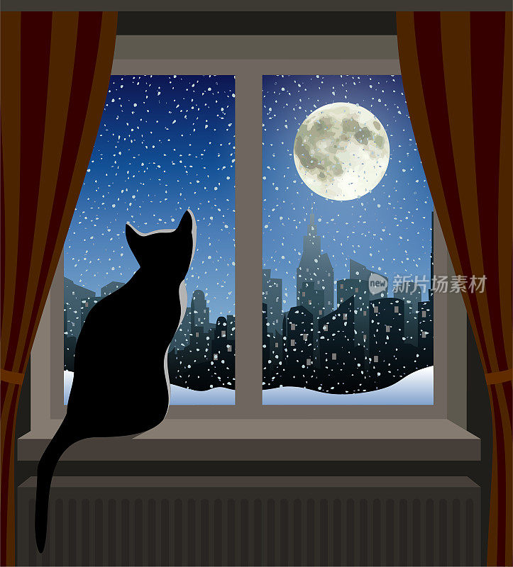 从窗口看月亮的猫